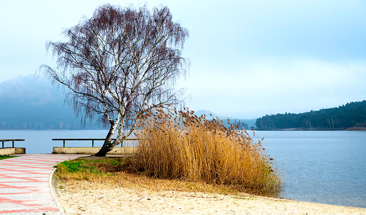 FOTO DNE 12.12.: Eva Hodíková - Máchovo jezero
