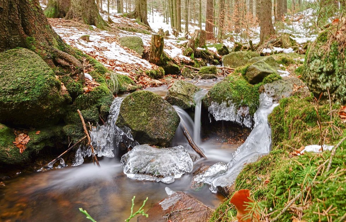 FOTO DNE 28.1.: Lubomír Mazánek - Trochu přituhuje