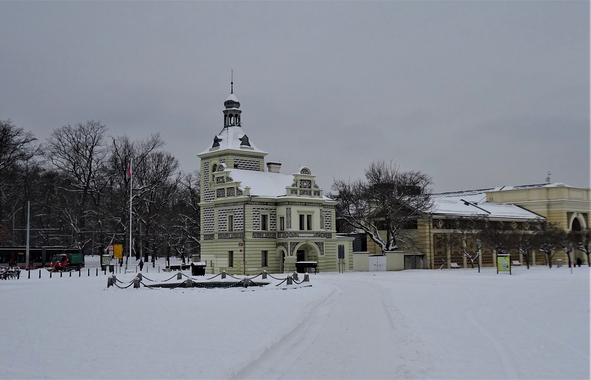 Zasněženou Stromovkou