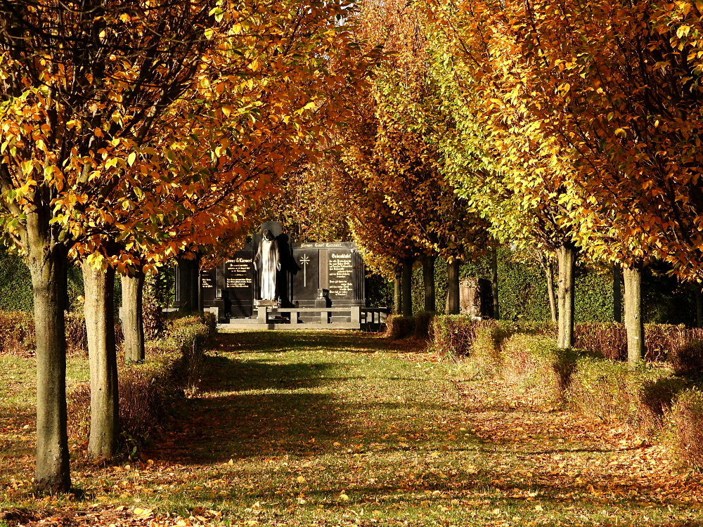 Zahrada ticha a zapomnění