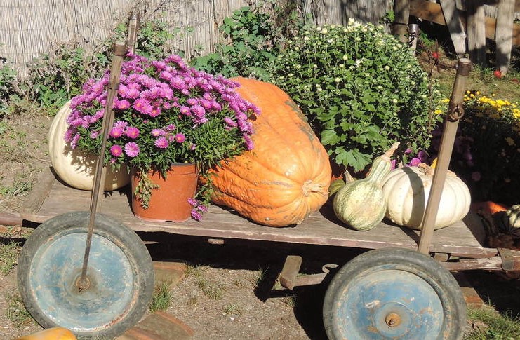 Fotoreportáž z neděle v Botanické zahradě v Troji