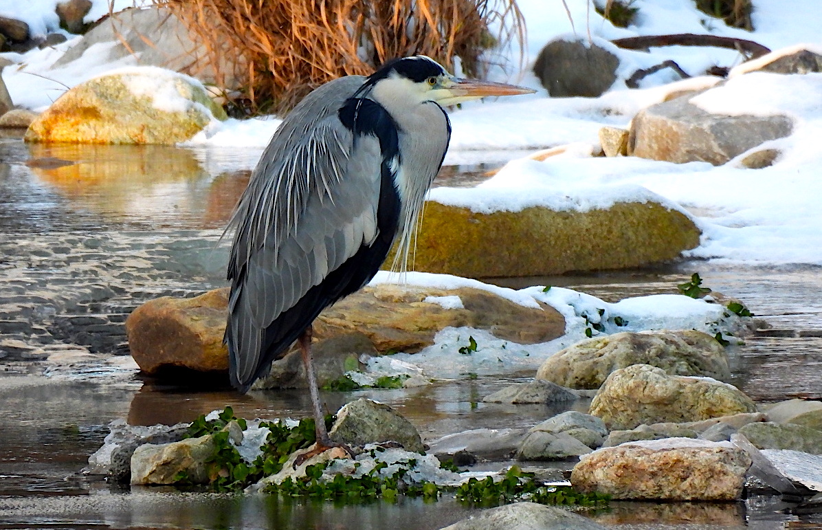 FOTO DNE 17.1.: Elena Valeriánová - Zimu fakt nemusím