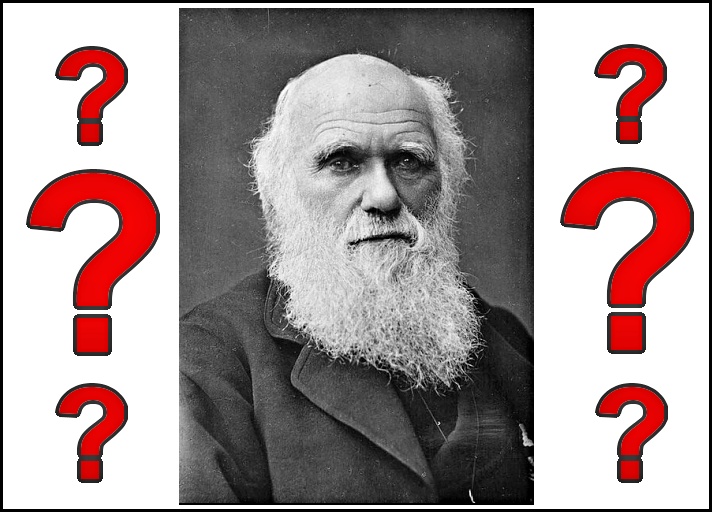 Darvinka a Darwin? Toť záhada!