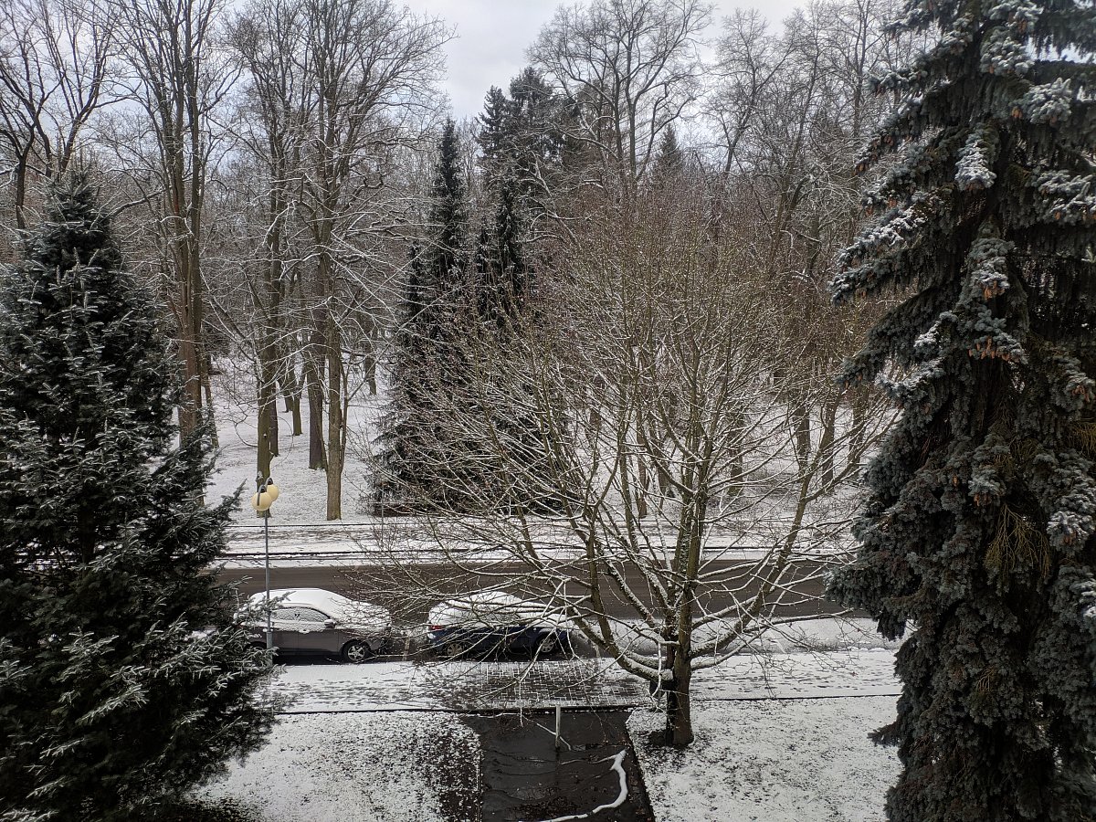 Konečně sníh v parku