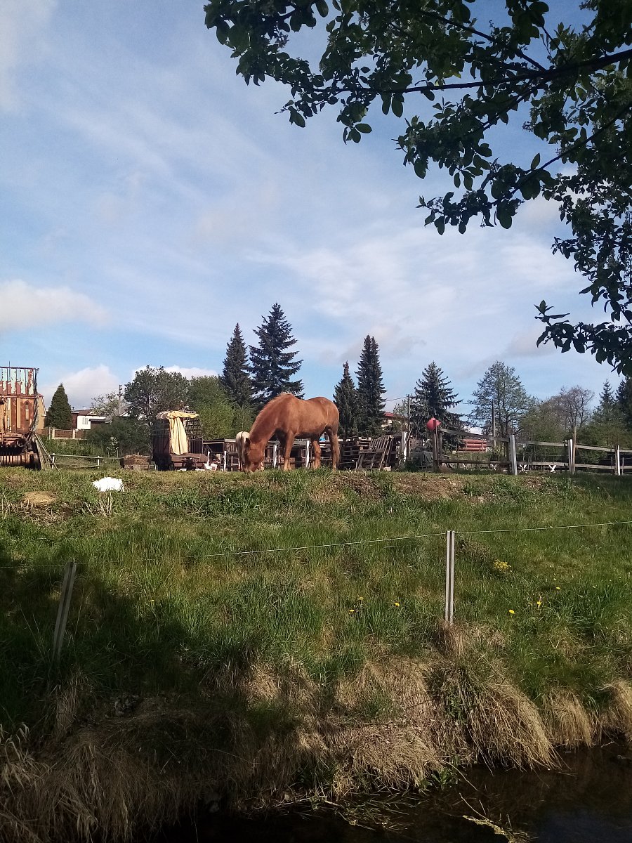 Moje největší životní lekce