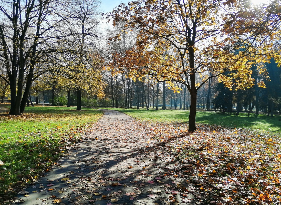Fotoreportáž: Podzimní procházka parkem