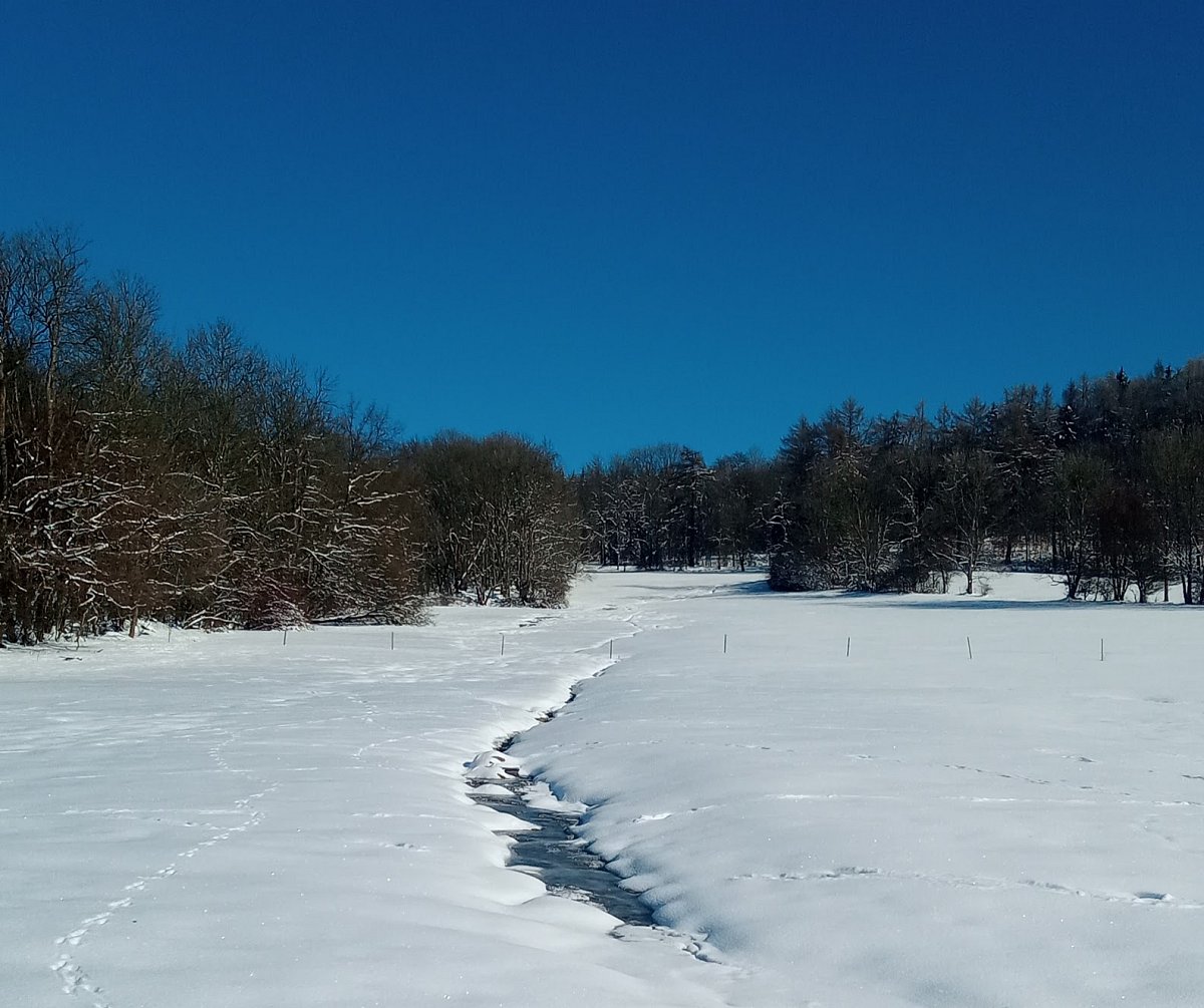 Takový docela normální všední den