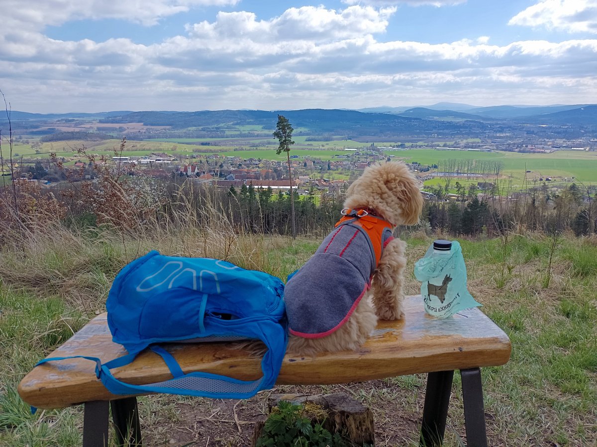 Z Řepice do Domanic přes vrch Jaslov