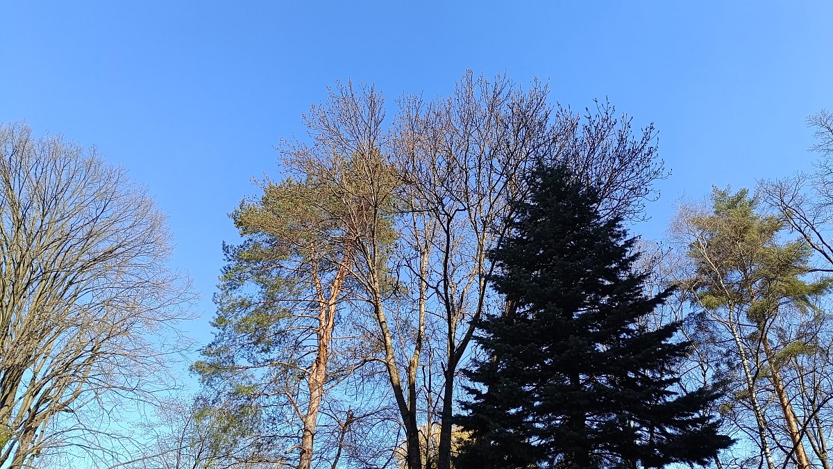 Právě teď - krásný je ten boží svět