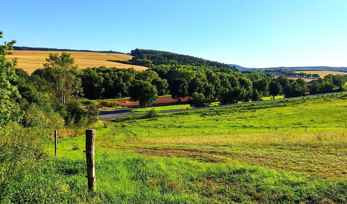 FOTO DNE 21.8.: Hana Polednová - Tady se mi líbí