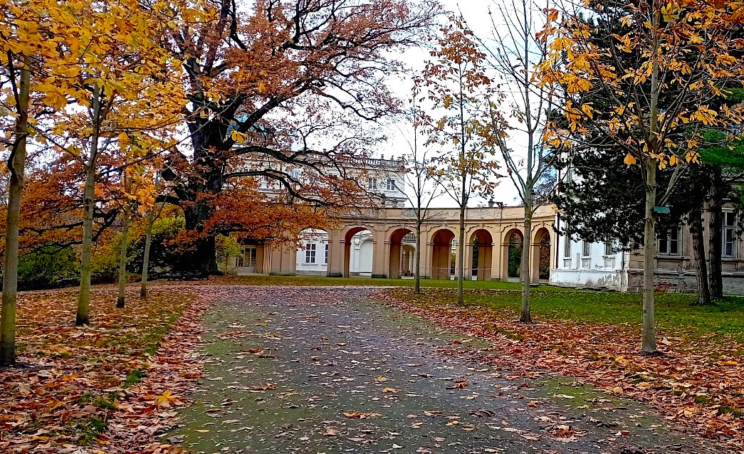 FOTO DNE 12.11.: Jan Zelenka - Cesta k ploskovickému zámku