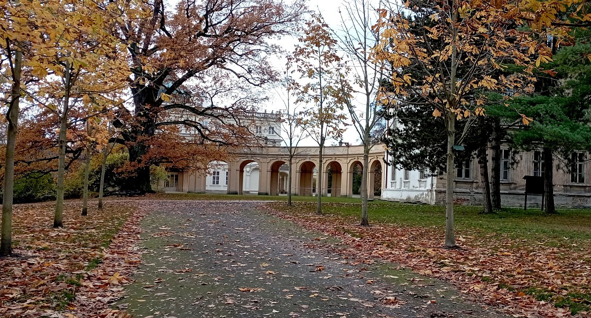 Cesta k ploskovickému zámku