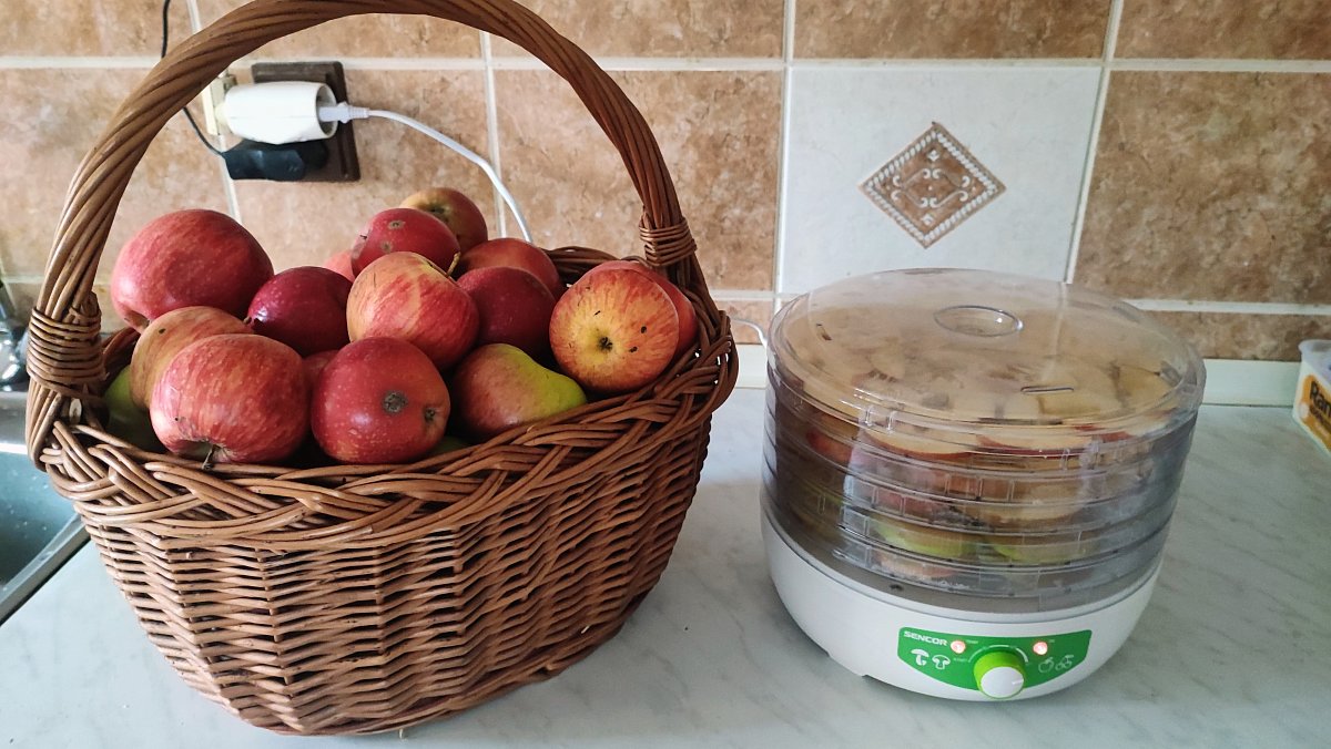 Docela všední, obyčejný den  /podzimní soutěž, Čím se baví senioři/