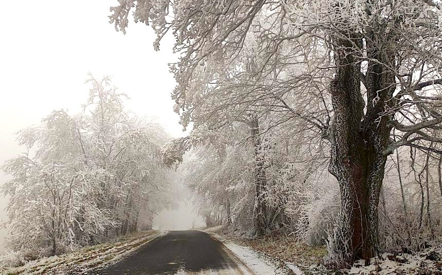 FOTO DNE 19.12.: Dana Straková - Dnešní mrazivé ráno