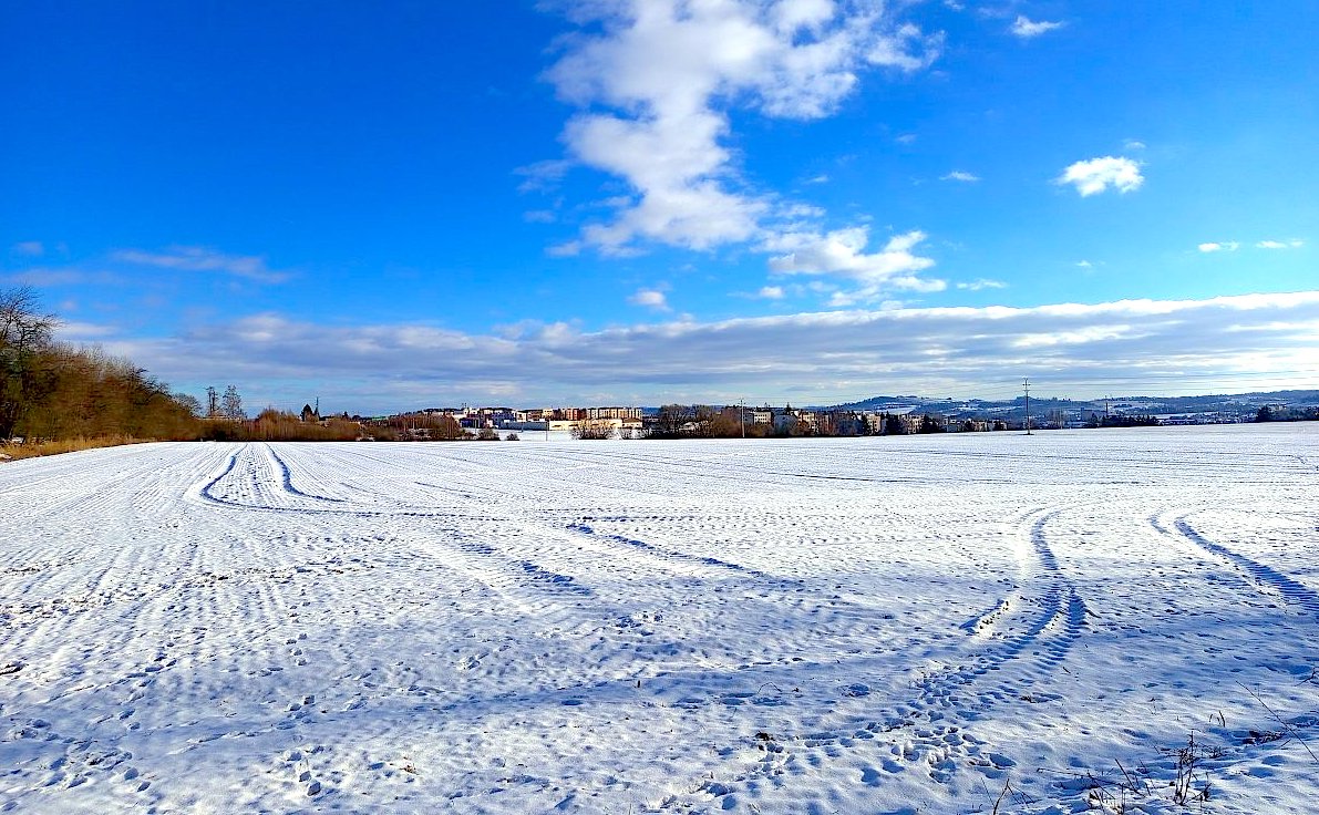 FOTO DNE 6.1.: Marie Novotná - Za městem