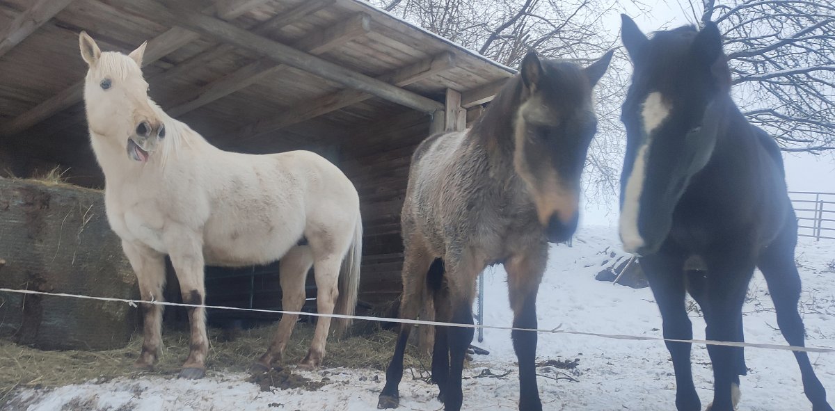 Pořád se něco děje...