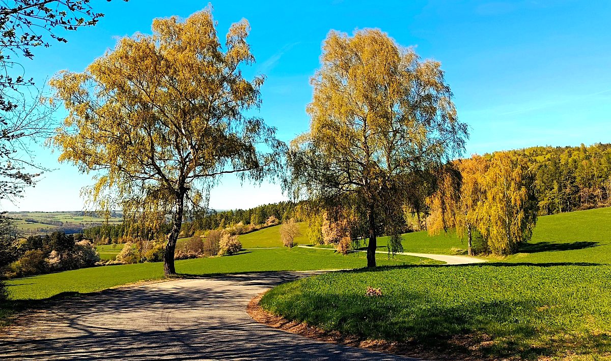 FOTO DNE 28.4.: Lubomír Měkota - Zatáčky