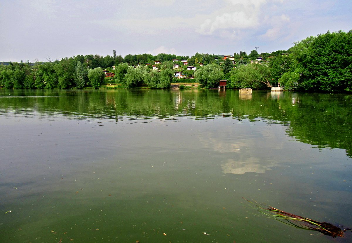 Rybník v zelené a hnědé