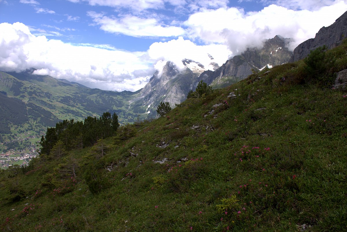 Nezapomenutelný výlet na Jungfraujoch ve Švýcarských Alpách