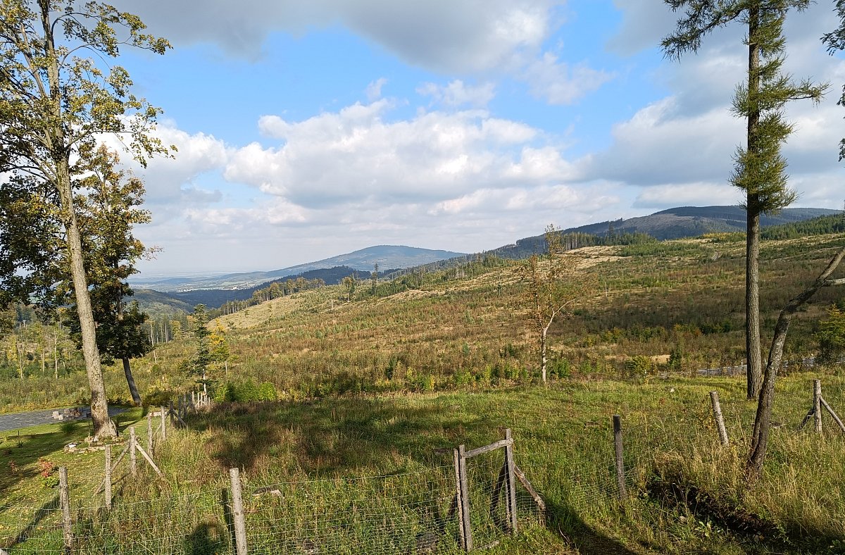 Pohled od Rejvízu ke Zlatým Horám
