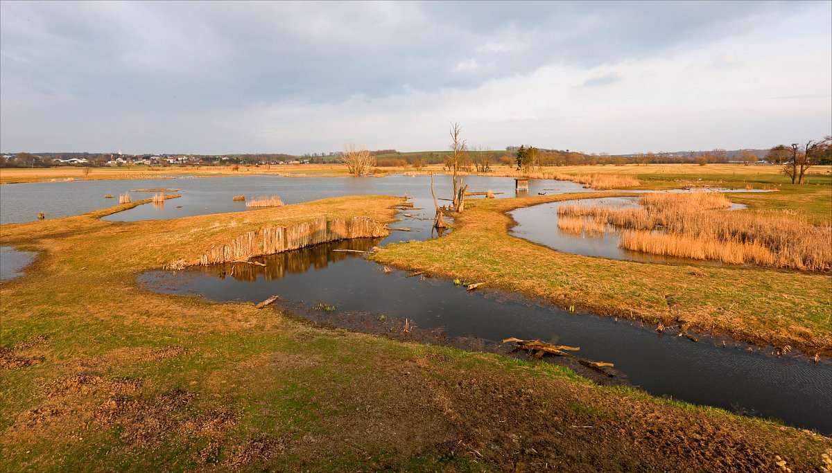 Kozmické ptačí louky 2