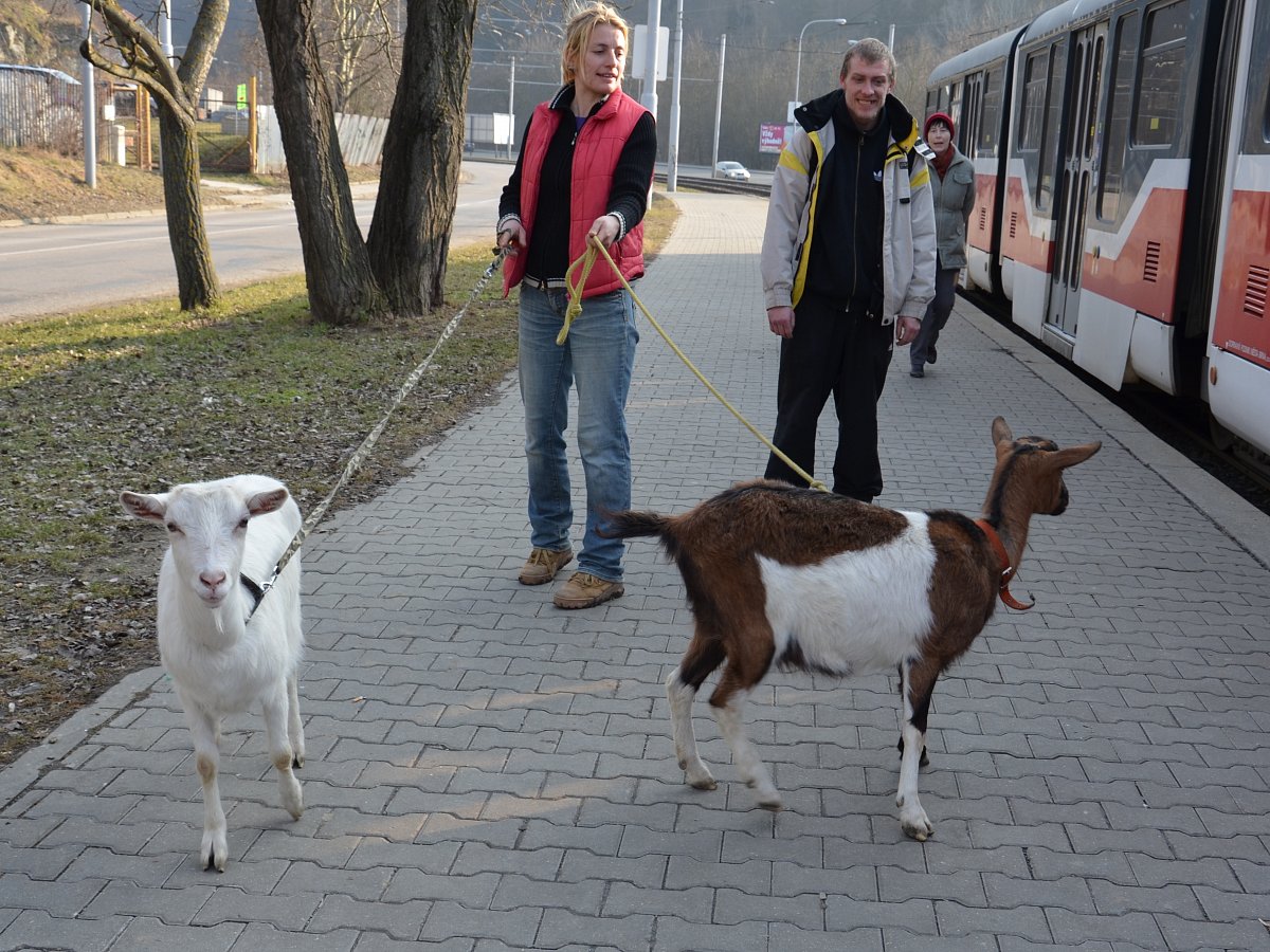 Hurá, jedeme na výlet  :-)