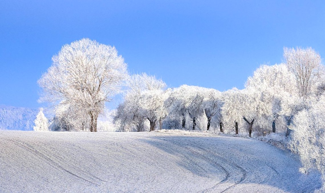 FOTO DNE 27.11.: Miloslav Křížek - Chladný sluneční den