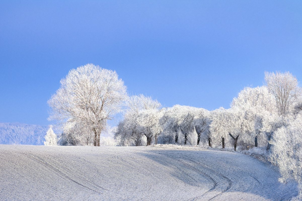 Chladný sluneční den...