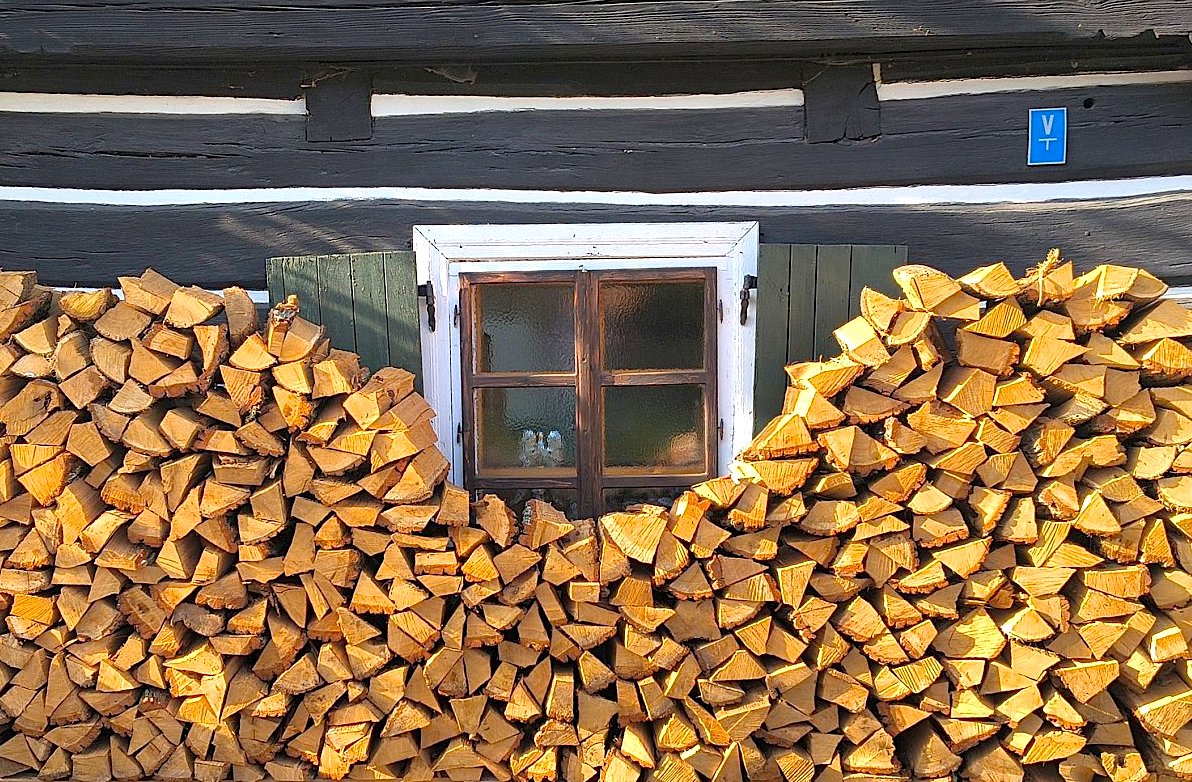 FOTO DNE 21.12.:Alena Tollarová - Zima nás nezaskočí