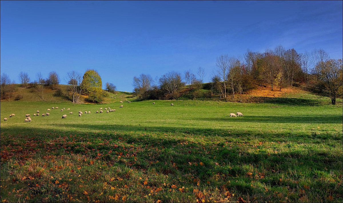Podzim na lachovské stráni