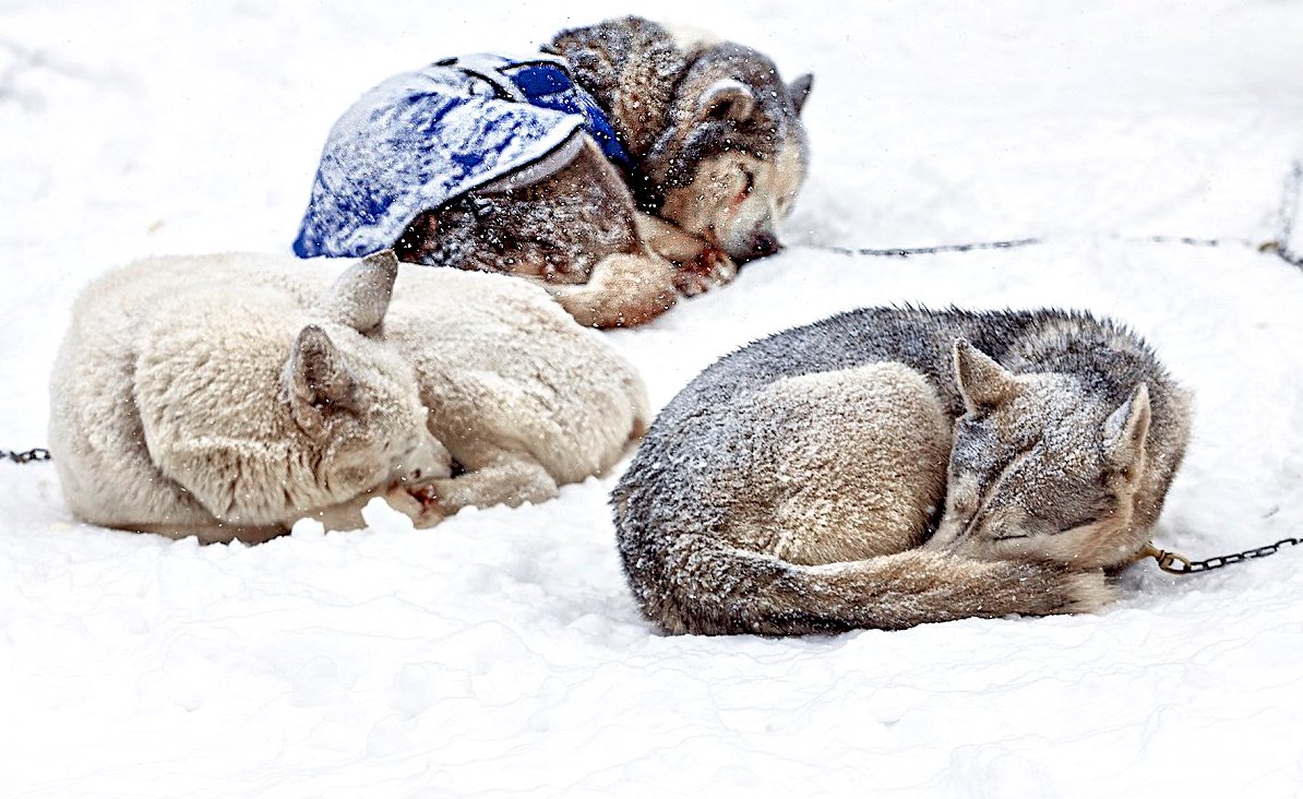 FOTO DNE 26.1.: Miloslav Křížek - Zasloužilý odpočinek