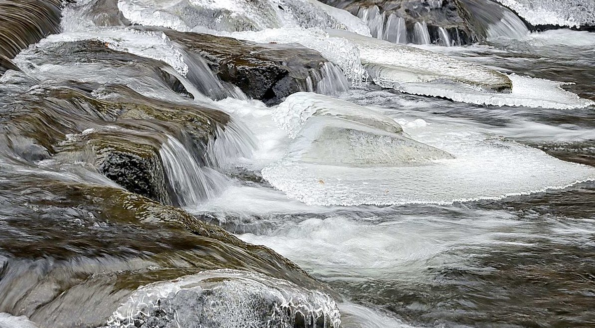 FOTO DNE 3.1.: Anna Čípová - Mráz čaroval