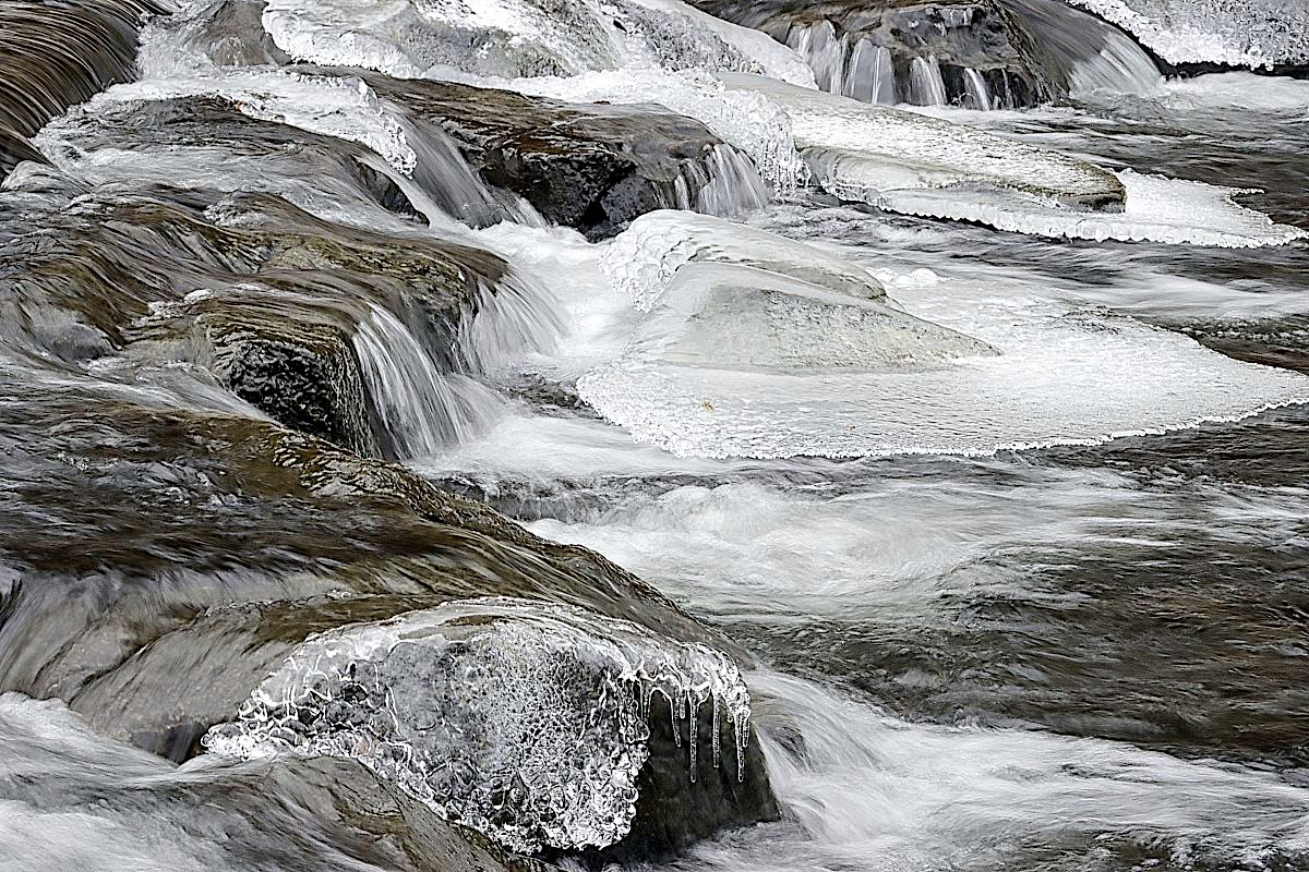 FOTO DNE 3.1.: Anna Čípová - Mráz čaroval