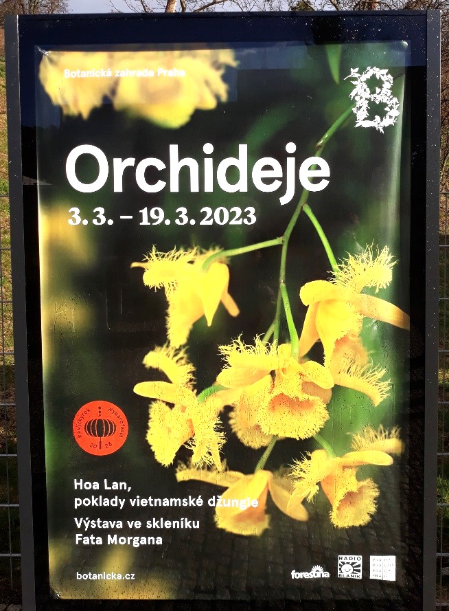 Orchideje-1.jpg
