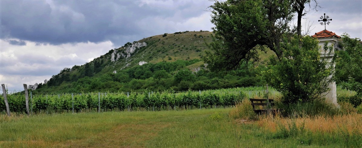 usp 797 nad rámec datování 2015