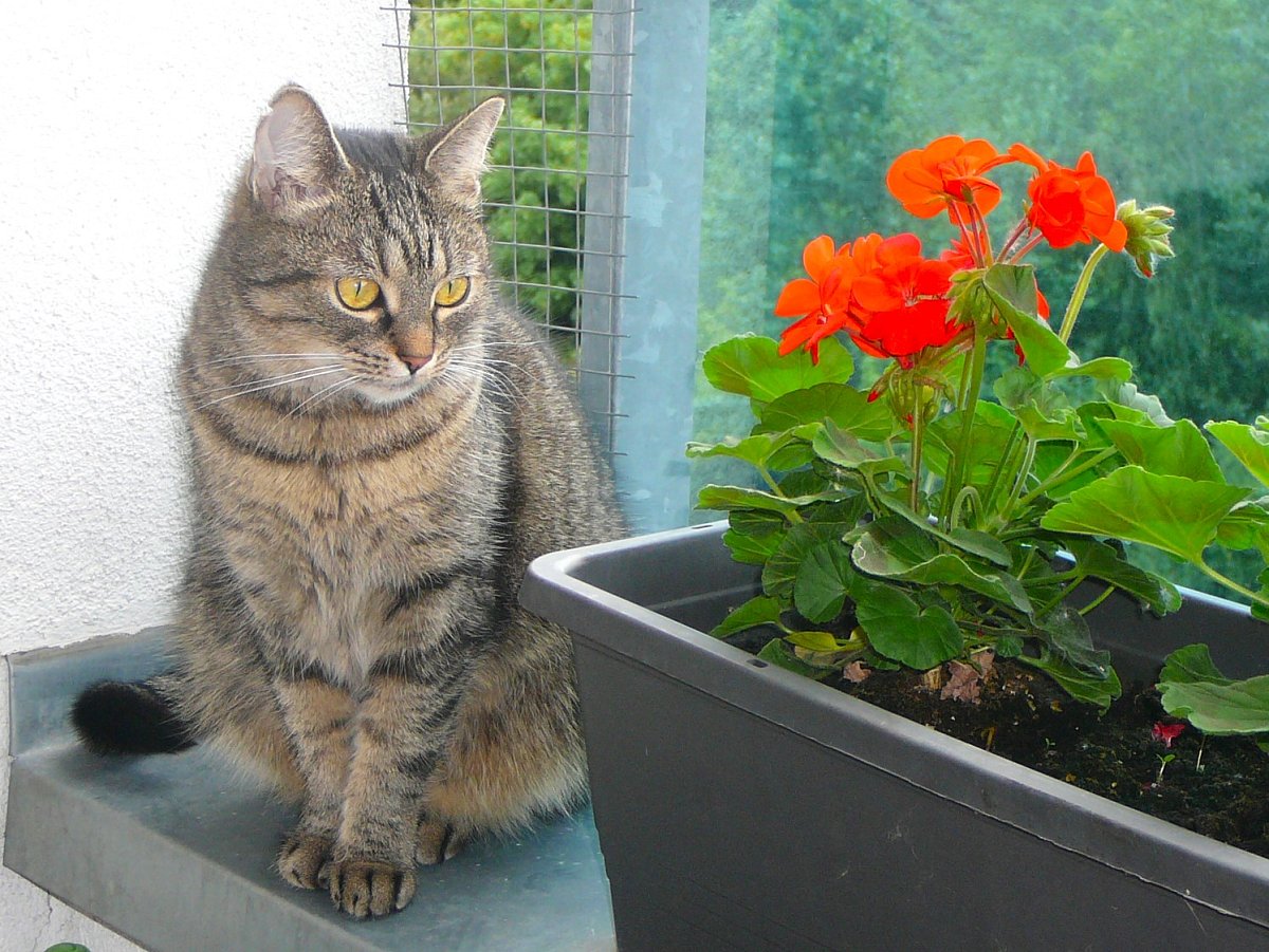 Radost z maličkostí