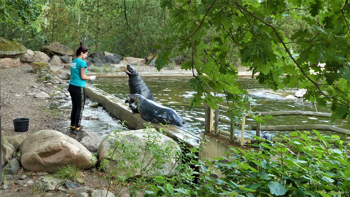 Největší české zoo je v Chomutově