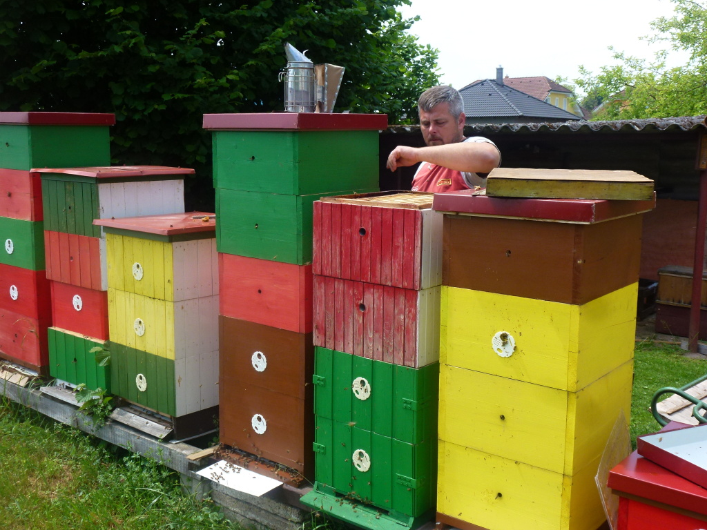 Tento rok je poněkud podivný