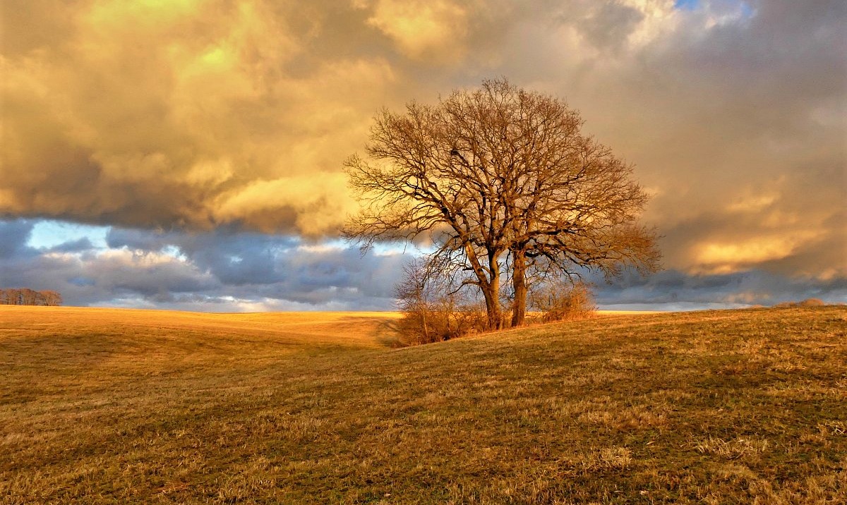FOTO DNE 27.2.: Libuše Heulerová - V únorové zlaté hodince