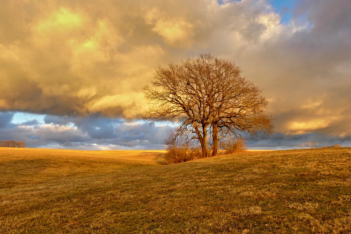 V únorové zlaté hodince...