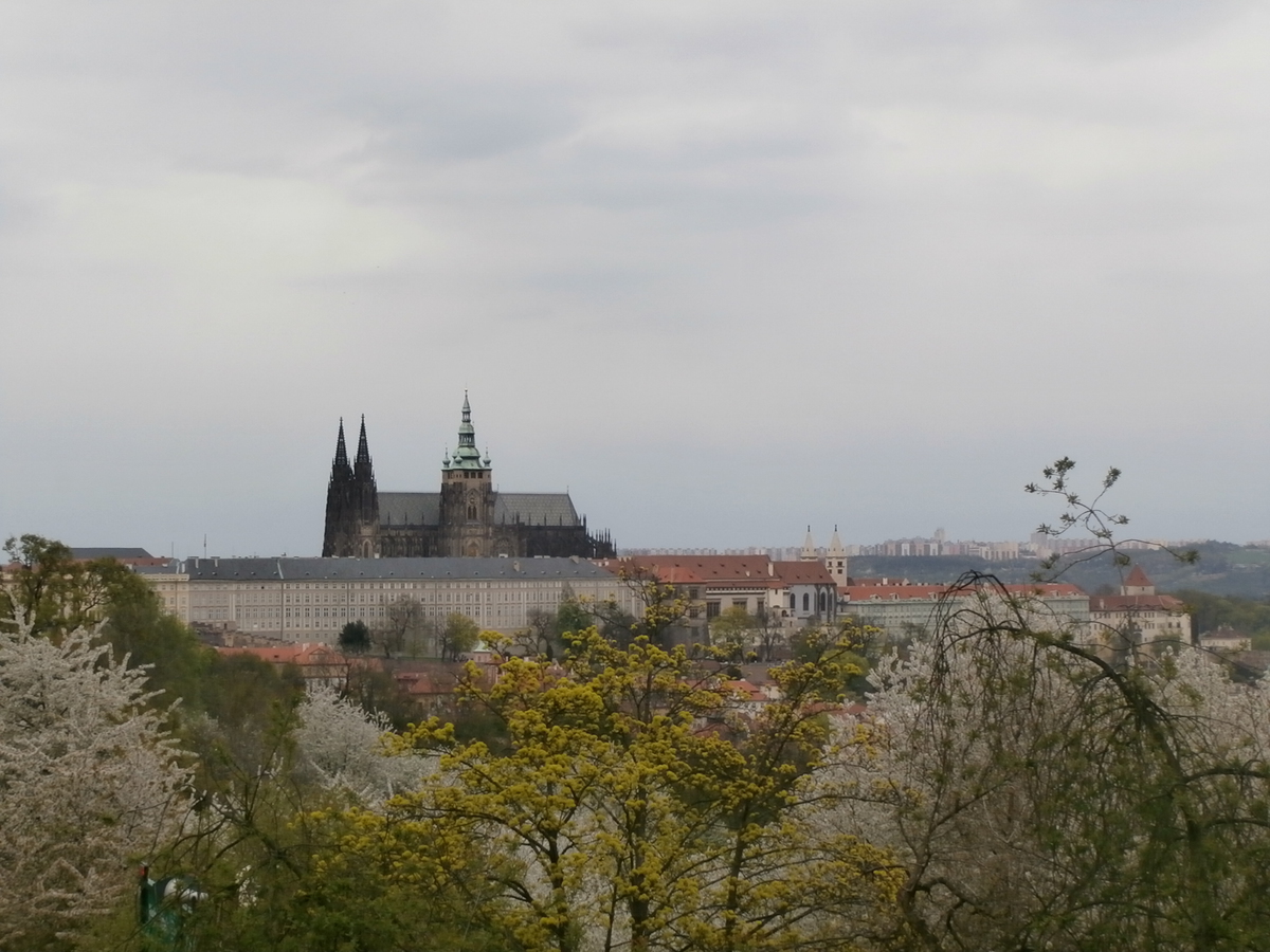 Nejnavštěvovanějším místem Prahy je Pražský hrad, druhá je zoo