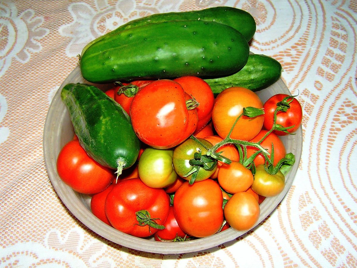 Poslední úroda.