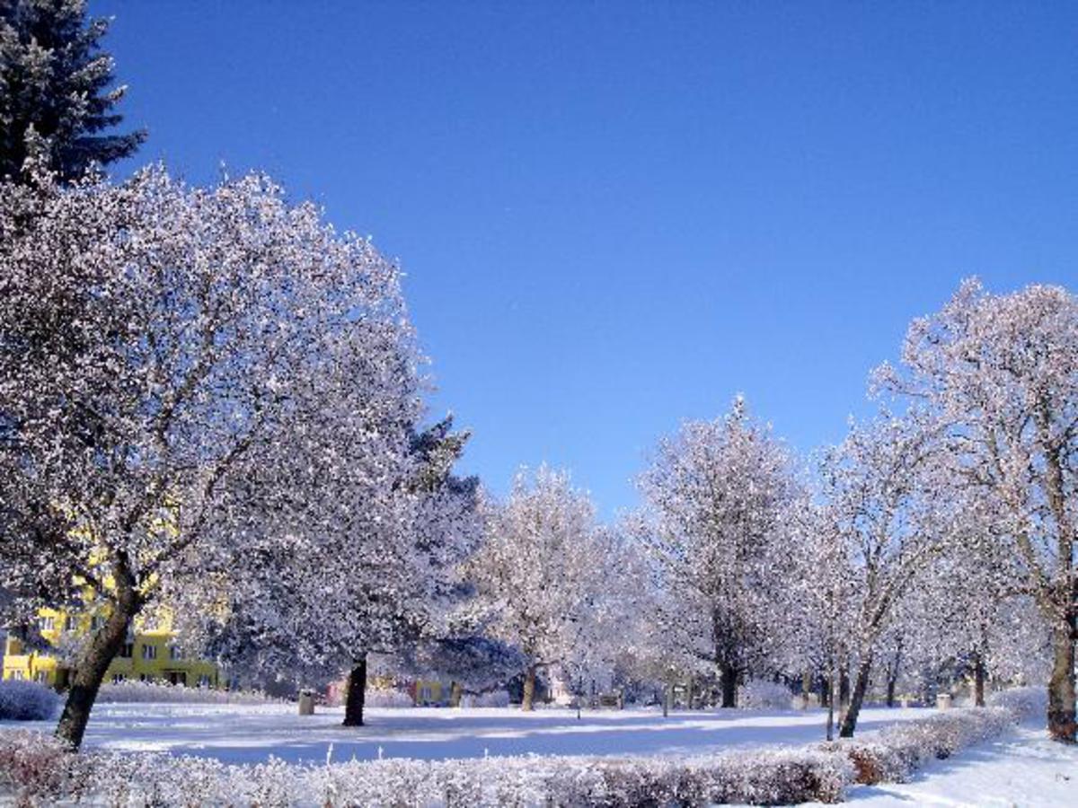 Park na sídlišti