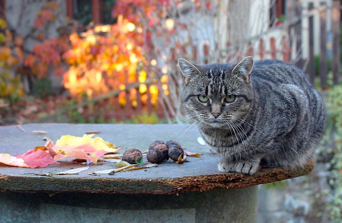 FOTO DNE 10.1: Marie Měchurová - Náš Ferda