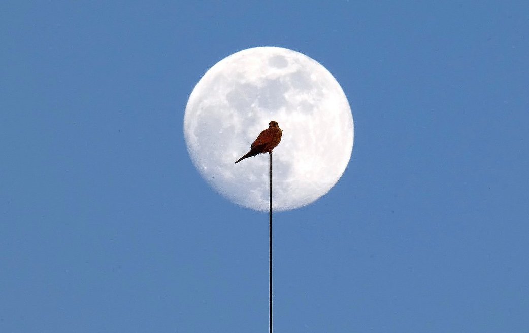 FOTO DNE 12.3.: Alena Tollarová - První poštolka na měsíci