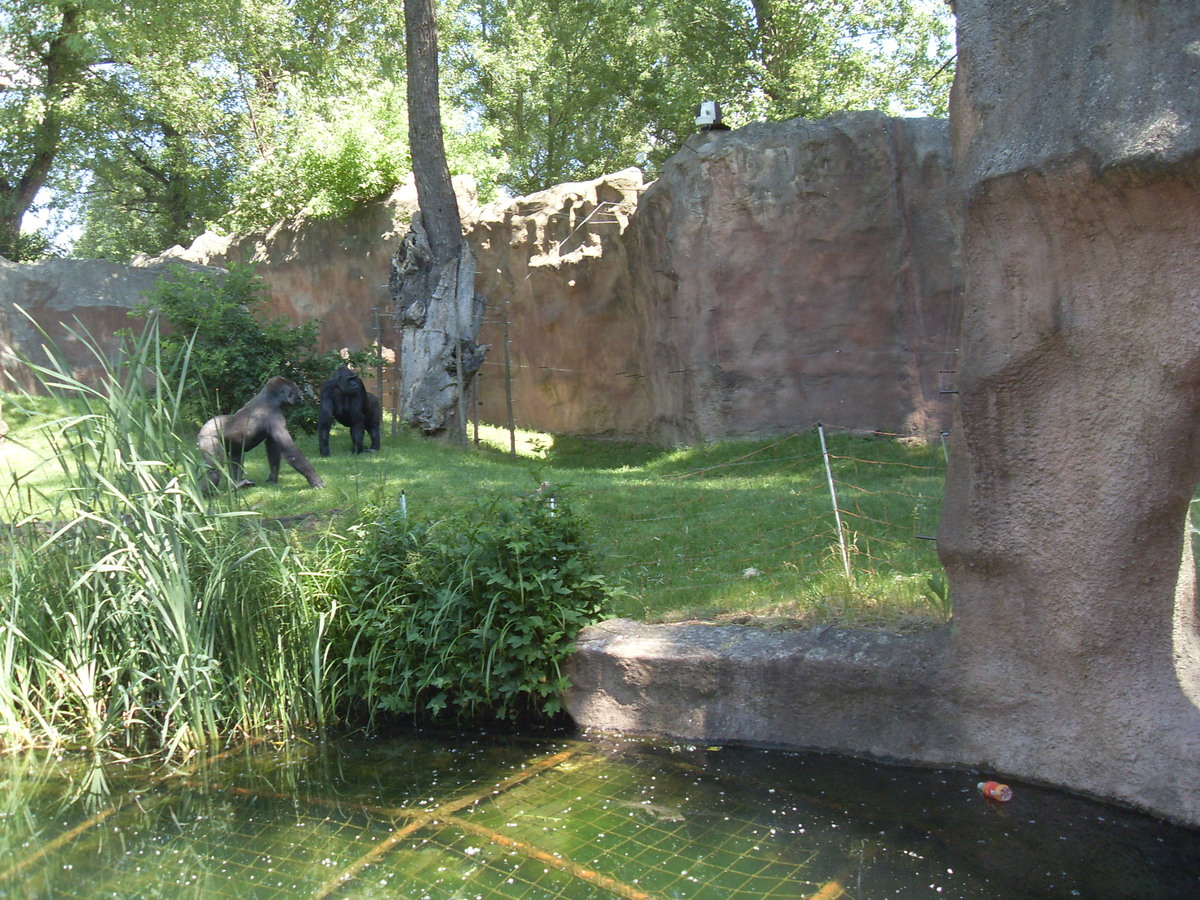 Výlet do ZOO Praha