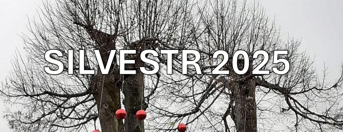 Silvestr, už tu máme zase Silvestr… a co s ním?