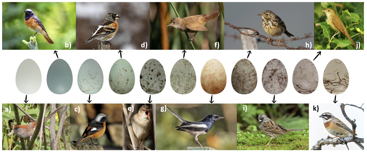 Snímek obrazovky 2025-11-04 v 10.43.16.png