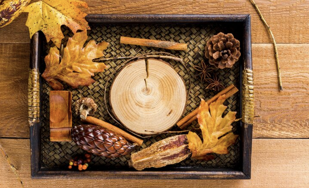 Snímek obrazovky 2025-12-11 v 13.32.44.png