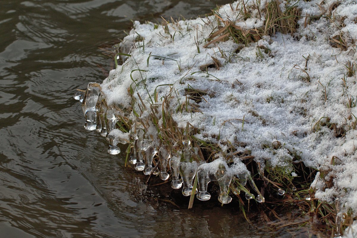 Fotoreportáž: Zima u řeky